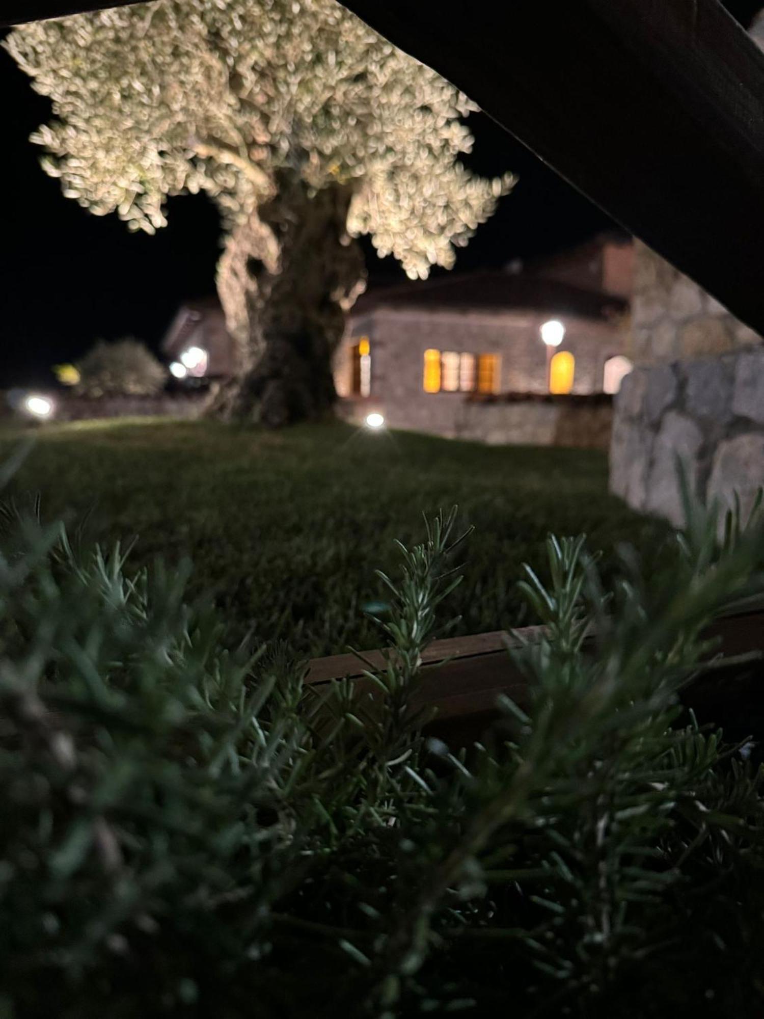 Tenuta Rosa - Gastronomia E Relax Montesano Scalo Exteriör bild